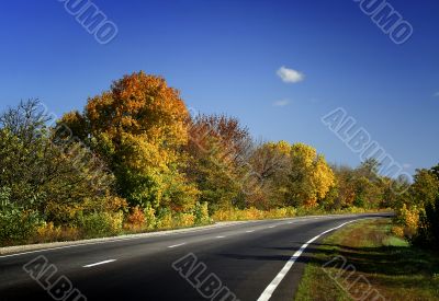Autumn road / Fall scenic