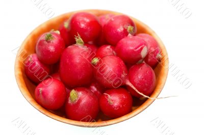 Fresh radish