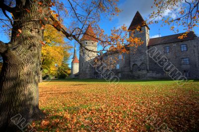 Autumn park in the old city