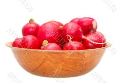 Fresh garden radish