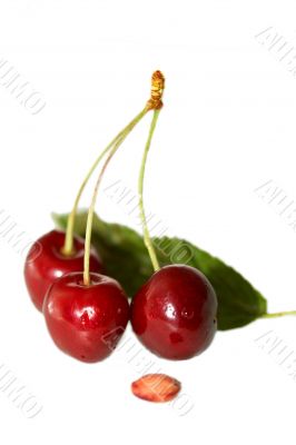 Wet cherry
