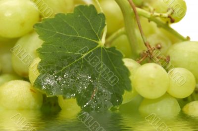 Green Grapes