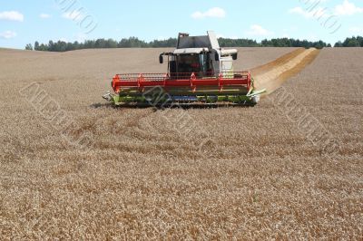 Machine harvesting the corn field