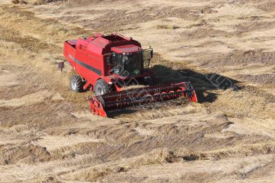 Machine harvesting the corn field