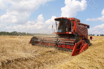 Machine harvesting the corn field