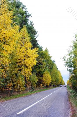 Autumn road.