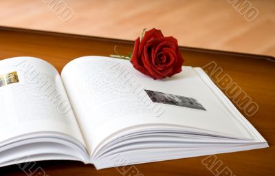 Rose & book