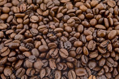 Coffee beans as background