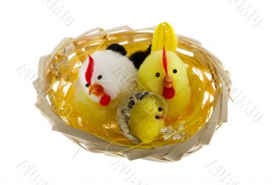 Easter, nest with chicks