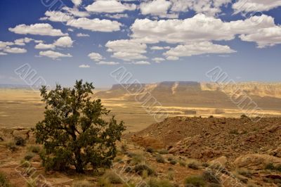 Canyon