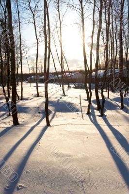 Winter landscape at sunset