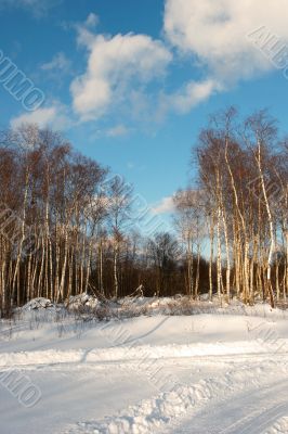 Winter landscape at sunset