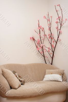 Soft sofa under a blossoming cherry