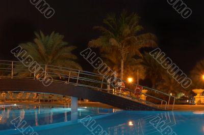 Swimming pool, night and palm trees