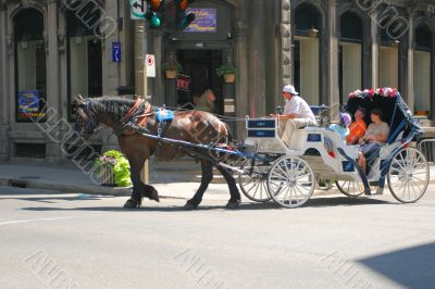 horse and driver