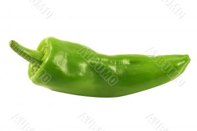 Green Pepper