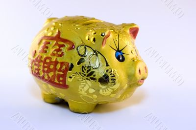 Piggy bank