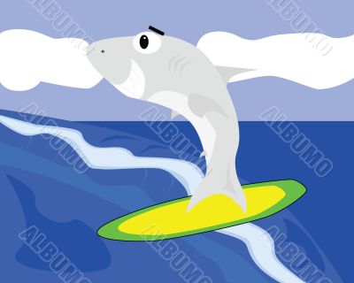 Surfing shark