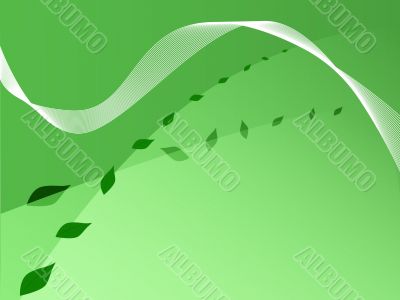 Green leafs background