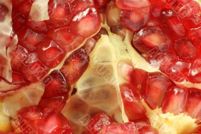 Pomegranate Interior