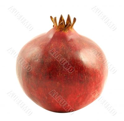 Pomegranate