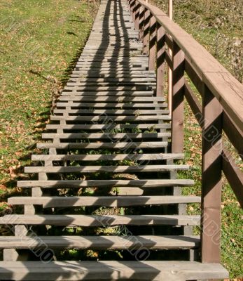 Wood ladder steps up