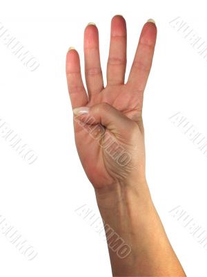 Human lady hand showing four fingers isolated over white background