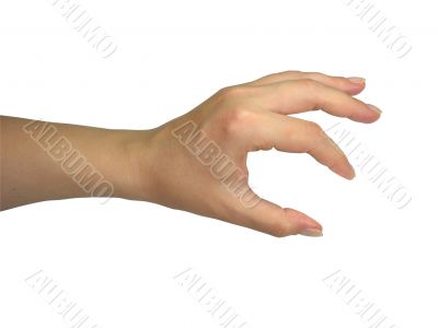 Human lady hand holding your object isolated over white