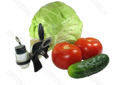 Set of vegetables with kitchen device