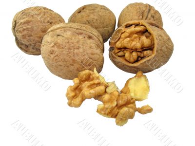 Walnuts isolated over white