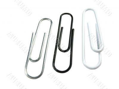 Three paper clips white black and metallic isolated over white background