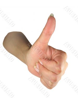 Human lady hand showing succes symbol isolated over white background