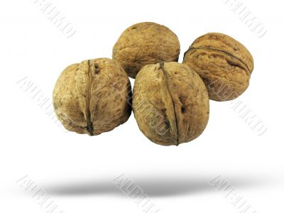 walnuts isolated over white