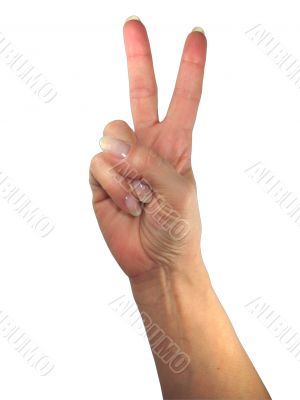 Human lady hand showing tho fingers isolated over white background