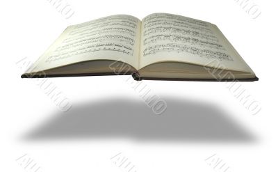 Close-up musical notes