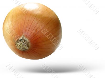 An onion isolated over white background
