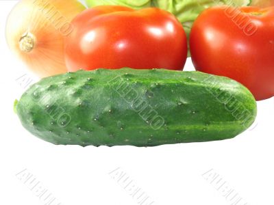 Set of different vegetables isolated on white