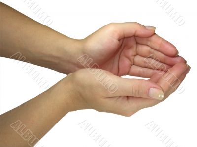 Human lady hands holding your object isolated over white
