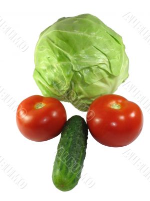 Set of different vegetables isolated on white