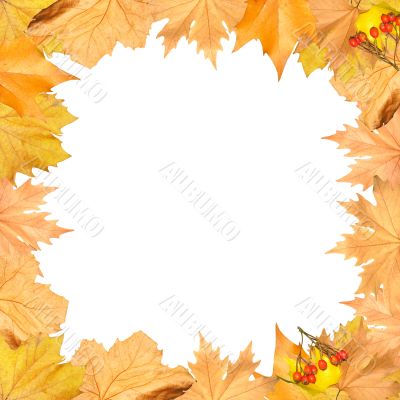Frame of autumn yellow leaves with empty place for your image
