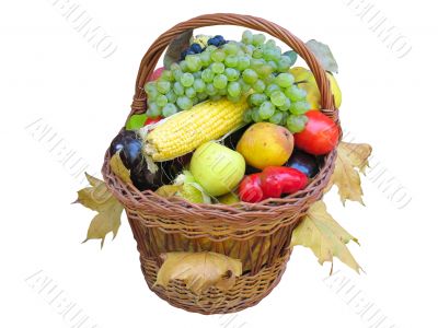 Wicker basket with autumn fruit and vegetables isolated over white background