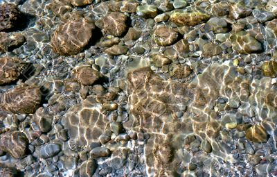 Background of sea floor