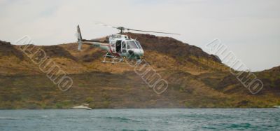 Search & Rescue