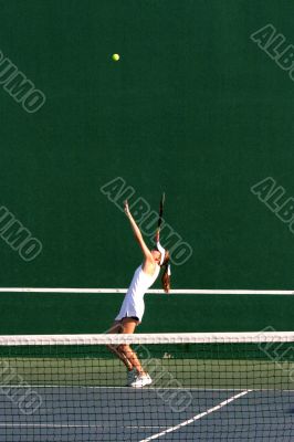 Tennis Player