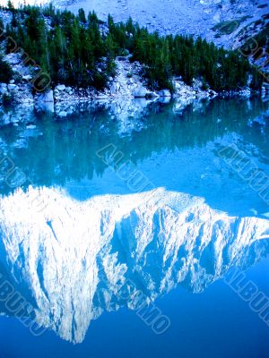 Reflections