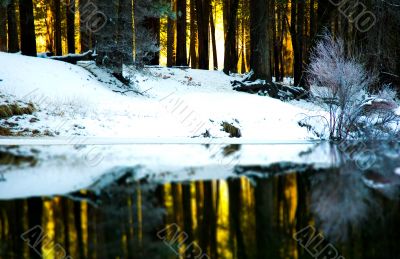 River Valley in Winter