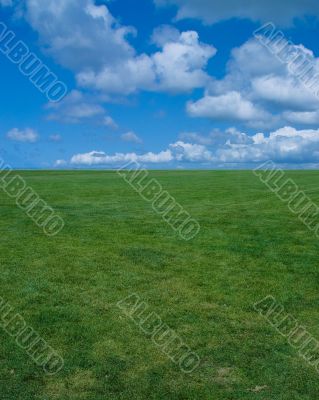 Grass & Sky
