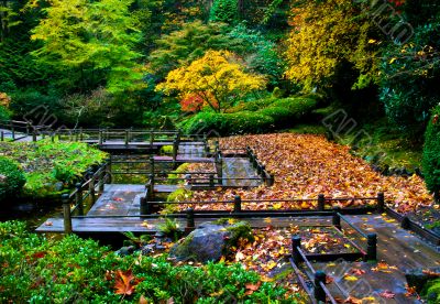 Bridge