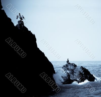 Pelicans on Rocks