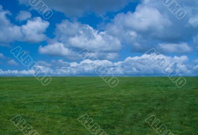 Grass & Sky